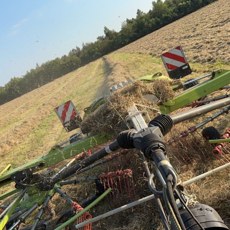 Nahaufnahme eines landwirtschaftlichen Geräts, das Gras auf einem Feld häuft.